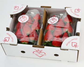 オーシャンベリーレギュラーパック